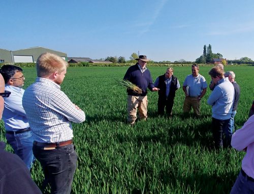 Year 2 Pilot Site Meetings: Shipton by Beningbrough and Elvington