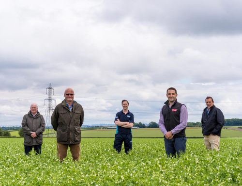 Press Release: Collaborative, farm-based environmental project launched in East Yorkshire could significantly cut CO2 levels